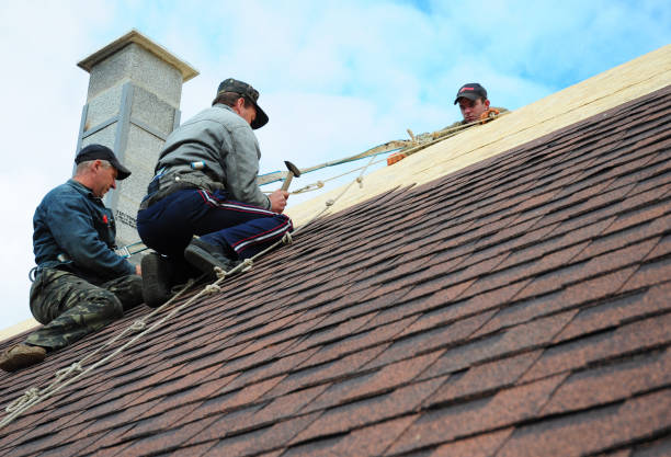 Roof Gutter Cleaning in Discovery Bay, CA